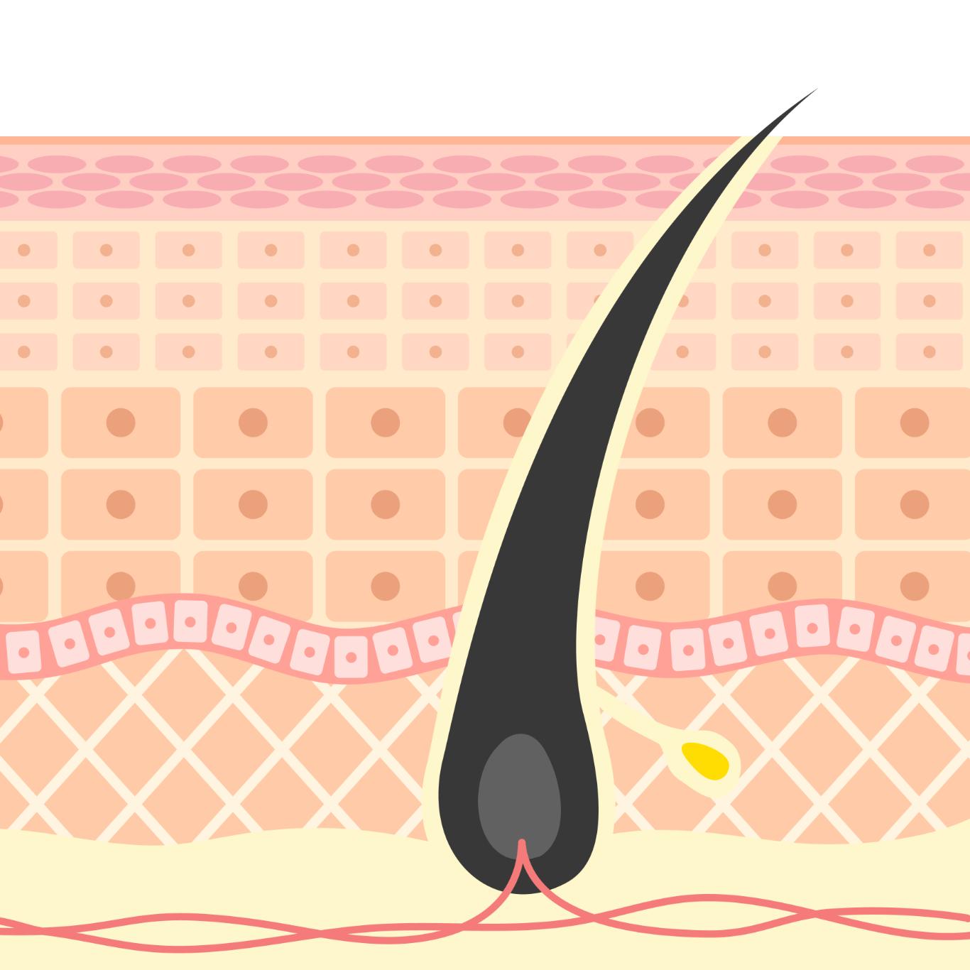 養髮精華修護頭皮環境