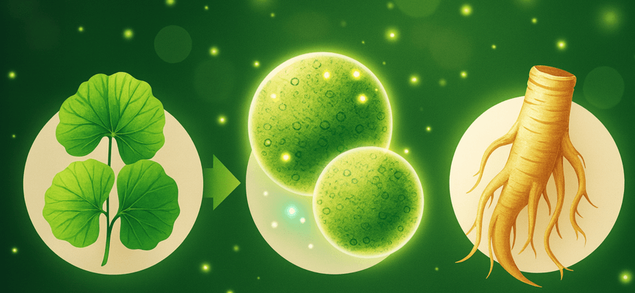 天然植萃養髮液成分示意