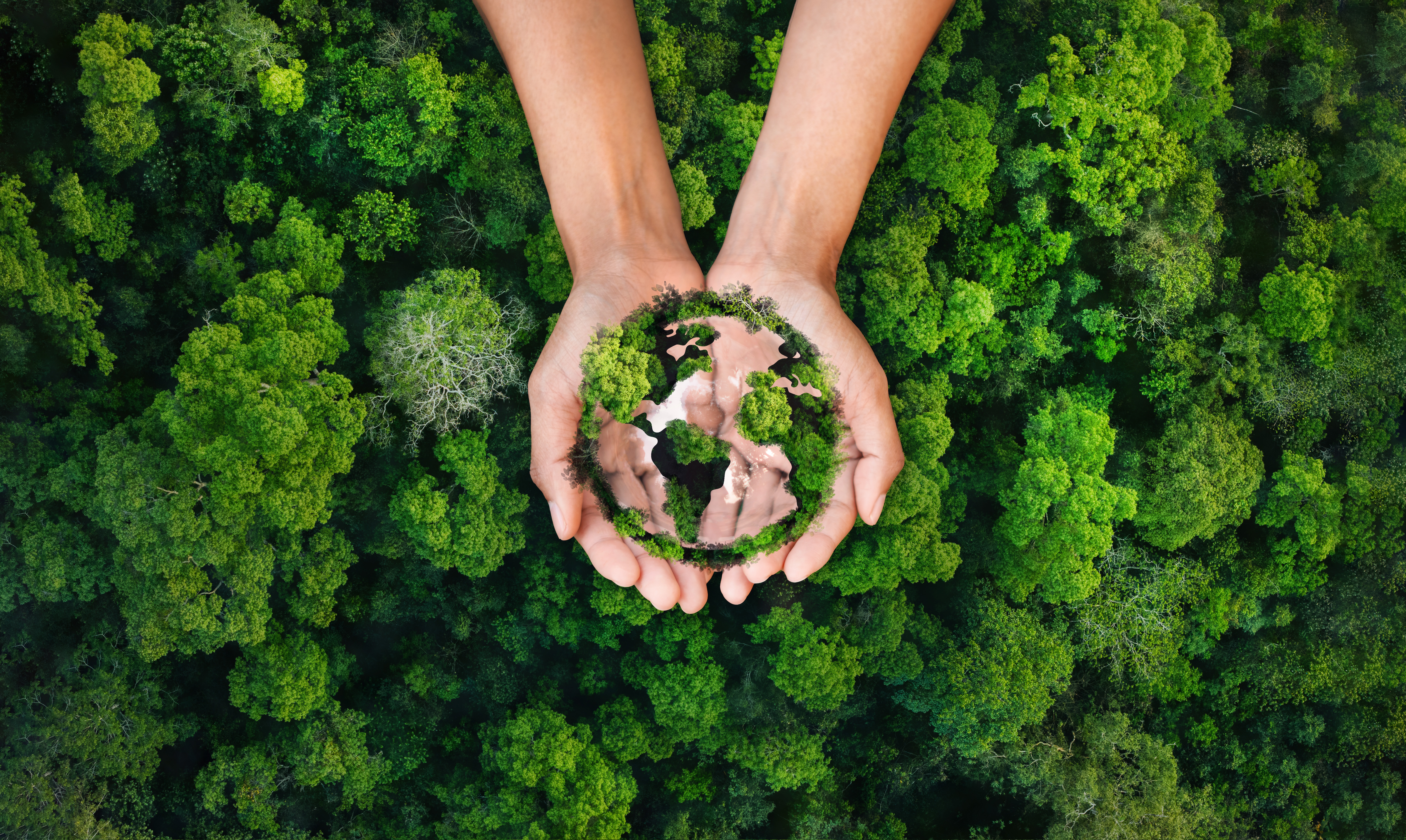天然養髮市場趨勢示意